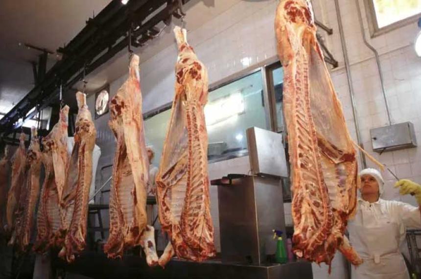 Asado maacutes barato en la Patagonia- crecen los enviacuteos desde el norte del paiacutes