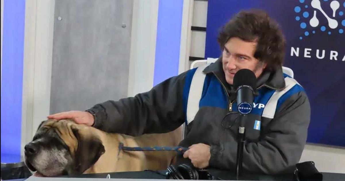 Milei justificoacute sus denuncias contra periodistas- Tienen que entender que no son especiales