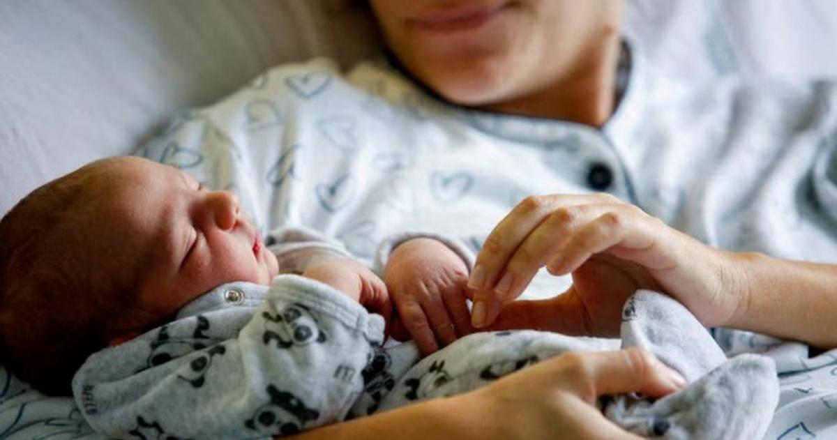 Por queacute cae la natalidad en Argentina- causas y consecuencias