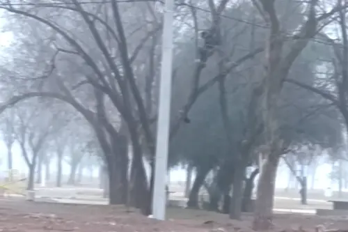 Tensioacuten en el Parque Don Tomaacutes- un hombre amenazoacute con arrojarse al vaciacuteo