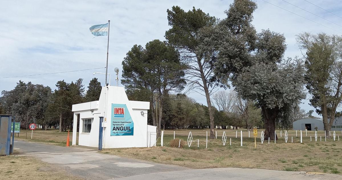 El futuro del INTA Anguil en debate- iquestReestructuracioacuten o venta de tierras