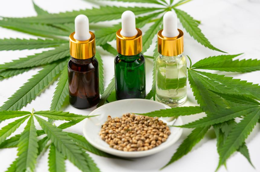 Piden que la marihuana se use solo para fines medicinales