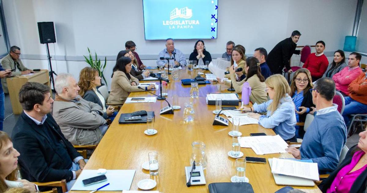 Diputados se toma tres semanas para analizar el data room de Ziliotto