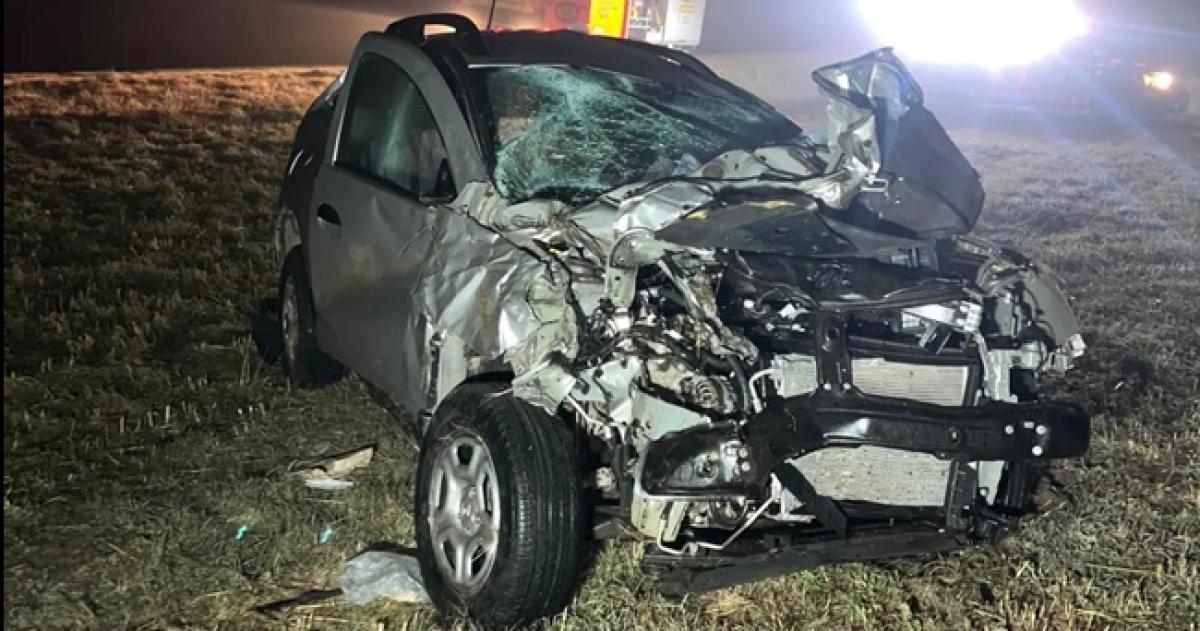 Un herido por un choque contra animales en la Ruta 2