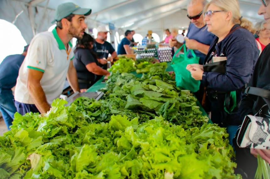 Abre el Mercado en la zona sur de la ciudad