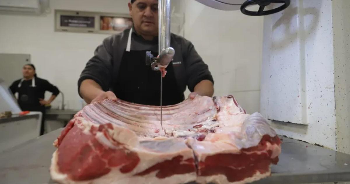 Fuerte rechazo rural al ingreso de carne con hueso al sur del riacuteo Colorado