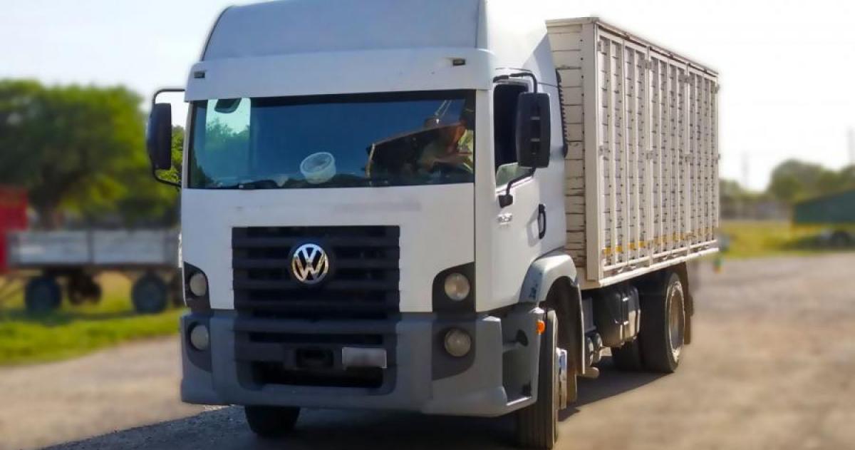 Invierten en renovacioacuten del sector de transporte