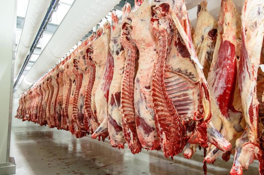 Crisis de exportacioacuten de carne- caiacuteda del 96-en-porciento- en La Pampa