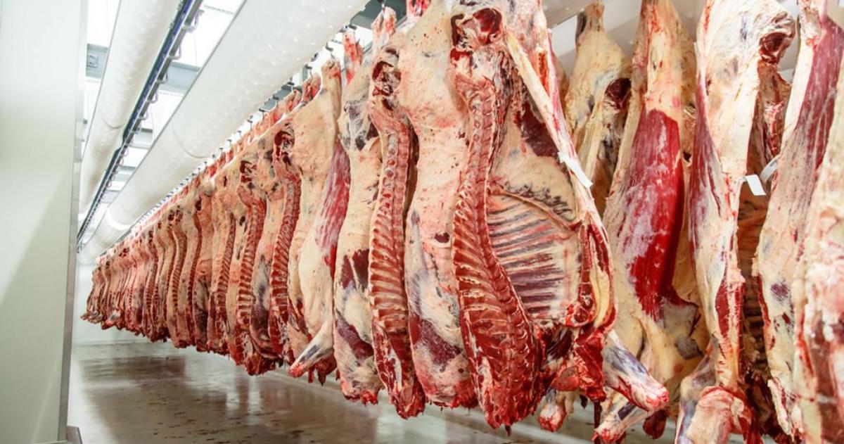 Crisis de exportacioacuten de carne- caiacuteda del 96-en-porciento- en La Pampa