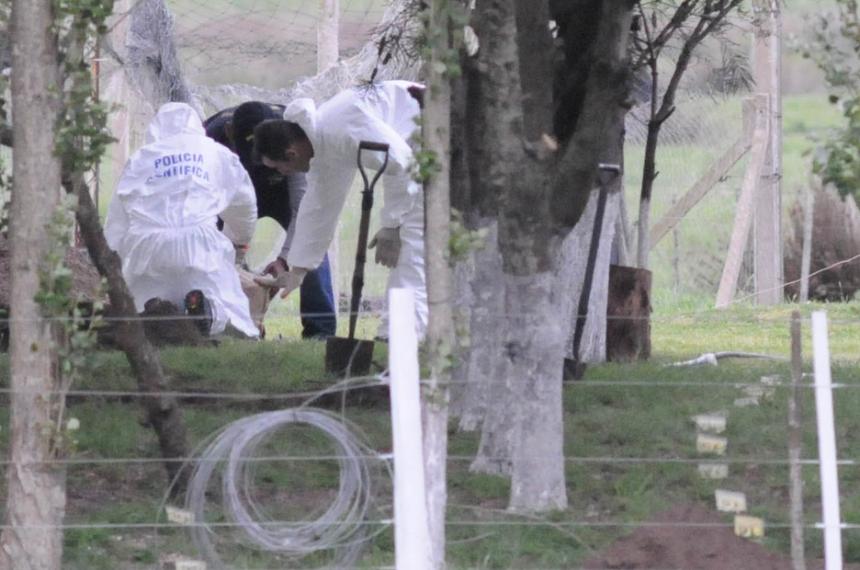 Horror en La Plata- hallan muerto a un nene de 2 antildeos con signos de mordeduras de perros