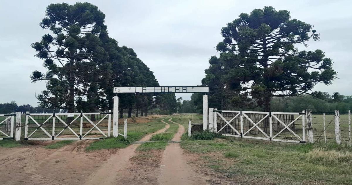 Larroudeacute- dos trabajadores rurales en condiciones de precariedad