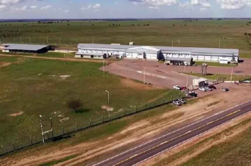 Frigoriacutefico HV- Maacutes de 600 cheques rechazados y posible concurso de acreedores
