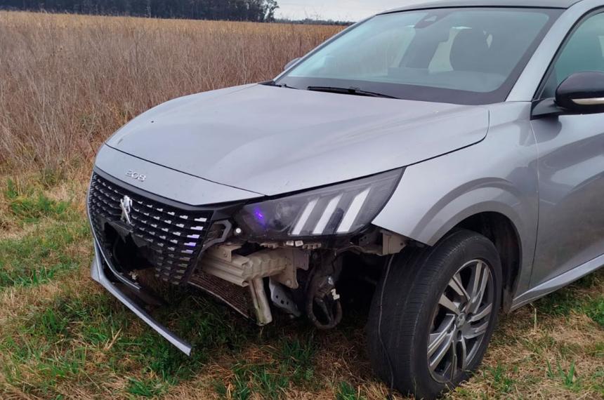Iban de Pico a Las Lentildeas y chocaron un puma en la Ruta 188 cerca de Realicoacute