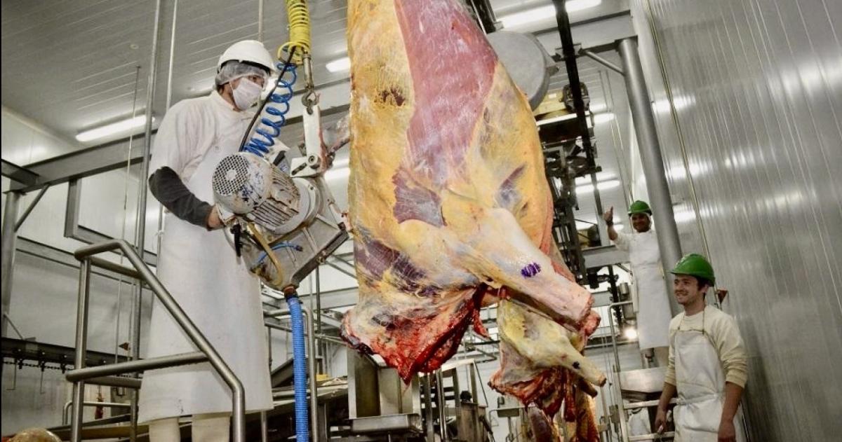 Crisis Frigoriacutefica- maacutes de 2000 empleos en riesgo en La Pampa