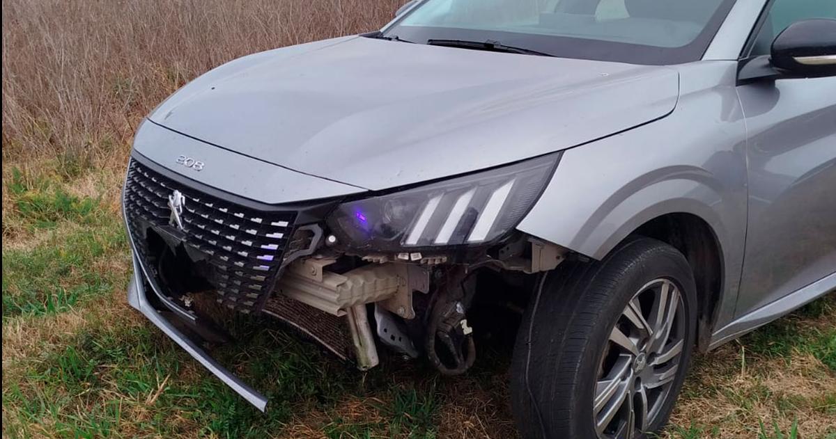Iban de Pico a Las Lentildeas y chocaron un puma en la Ruta 188 cerca de Realicoacute