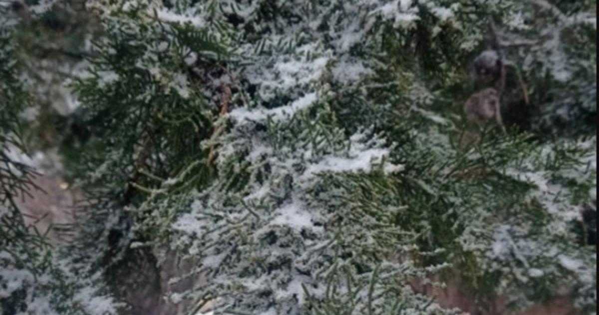 Nieva en Casa de Piedra y en varias localidades pampeanas