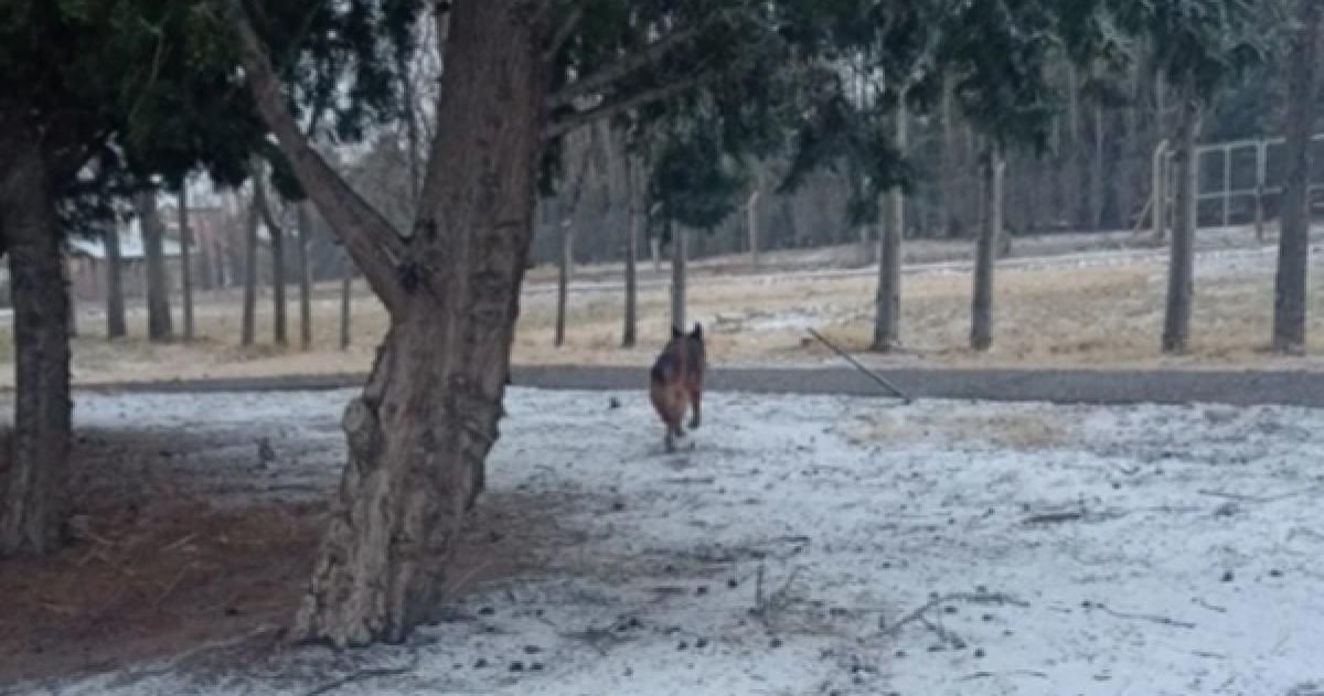 Nieva en Casa de Piedra y en varias localidades pampeanas
