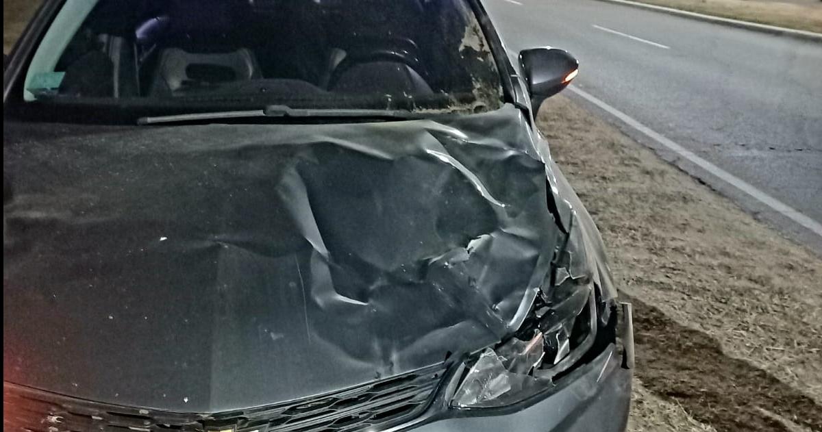 Otro siniestro por una tropilla en la Avenida Peroacuten