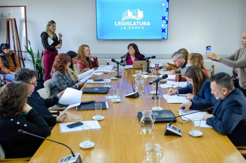 Sin quoacuterum para definir la Comisioacuten del Defensor de Nintildeos Nintildeas y Adolescentes