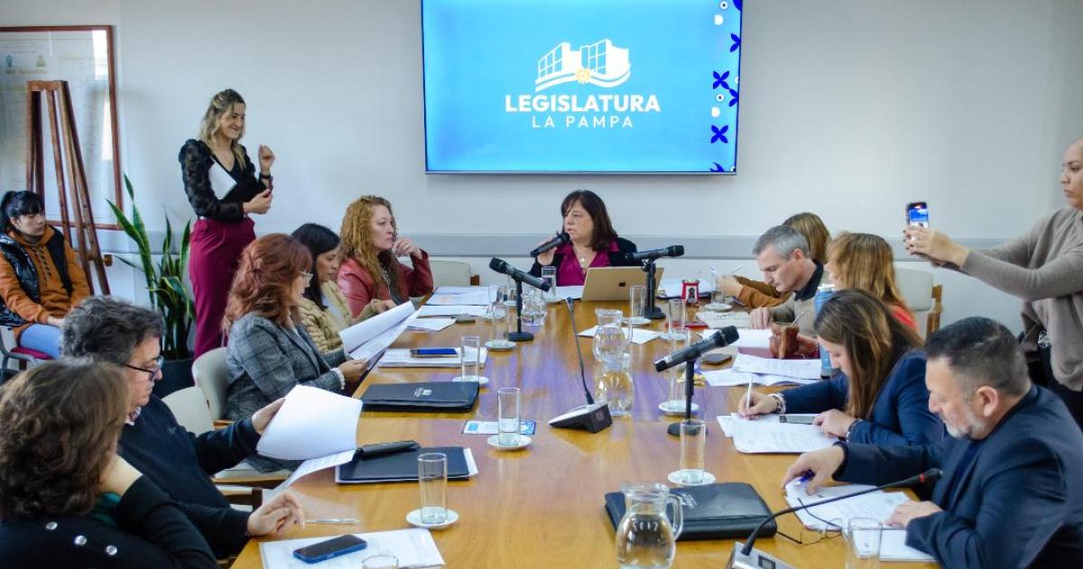 Sin quoacuterum para definir la Comisioacuten del Defensor de Nintildeos Nintildeas y Adolescentes