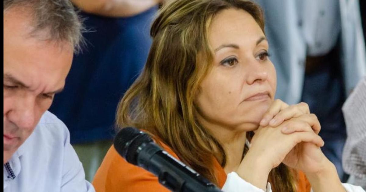 Diputada radical quiere declarar la Emergencia en Salud Mental en La Pampa