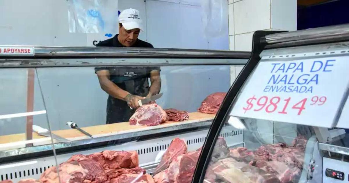 La Justicia ratificoacute la apertura de la barrera sanitaria en la Patagonia