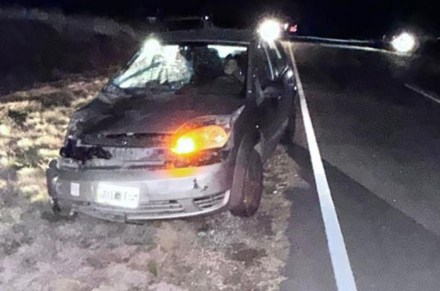 Iba por la ruta 7 y chocoacute una vaca- una mujer herida