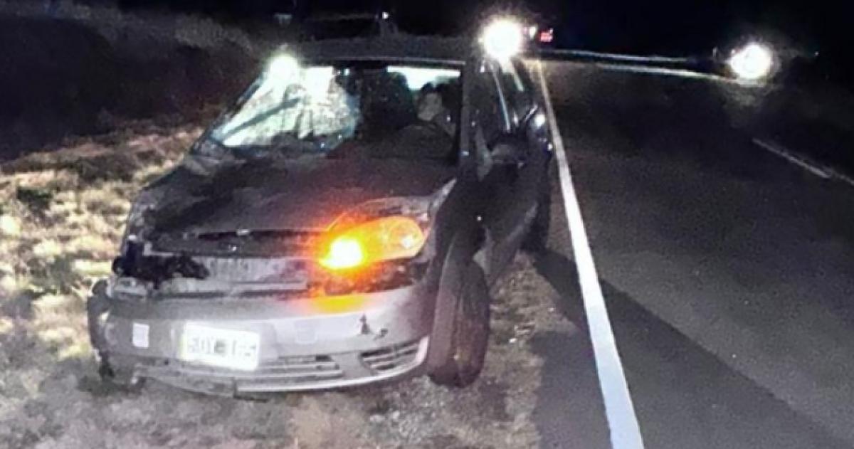 Iba por la ruta 7 y chocoacute una vaca- una mujer herida