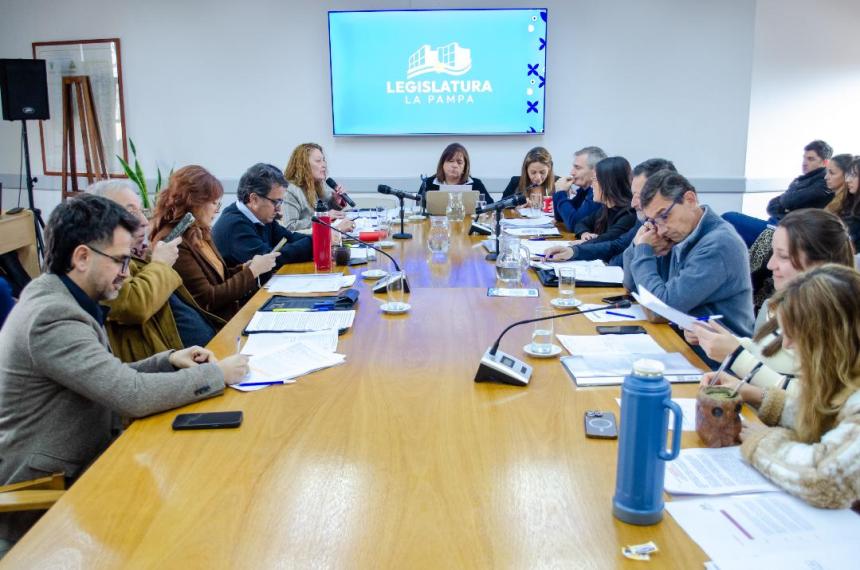 Definieron la Comisioacuten que seleccionaraacute al Defensor del Nintildeo de La Pampa