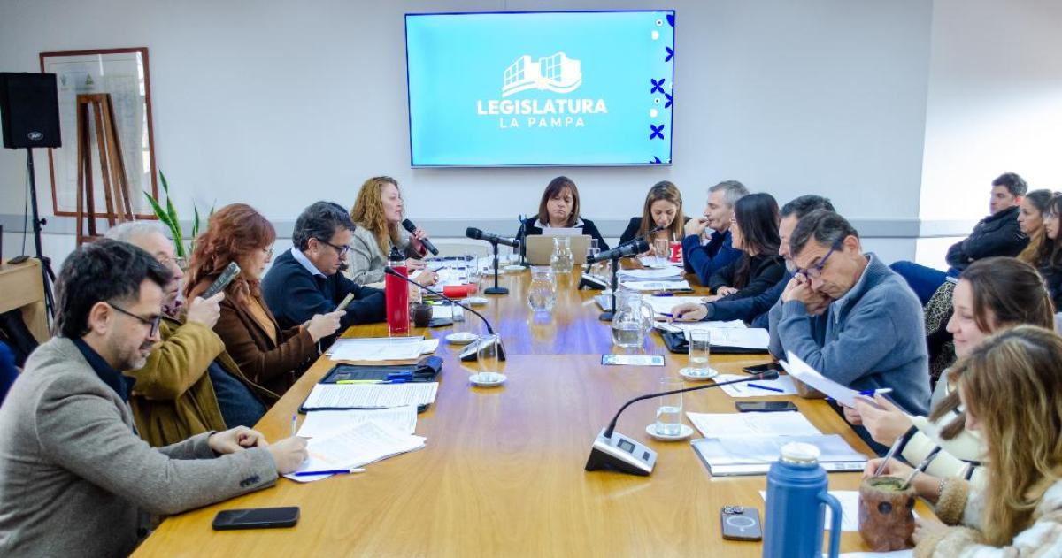 Definieron la Comisioacuten que seleccionaraacute al Defensor del Nintildeo de La Pampa