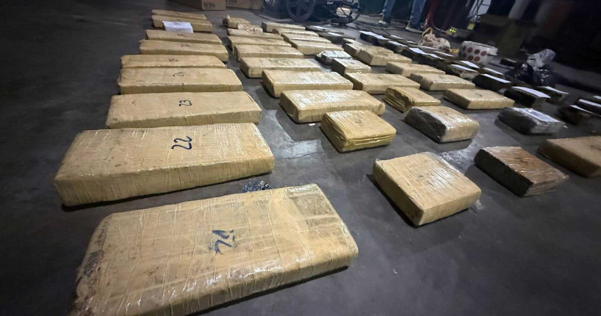 Golpe al narcotraacutefico- incautaron maacutes de 64 kilos de marihuana en Pico