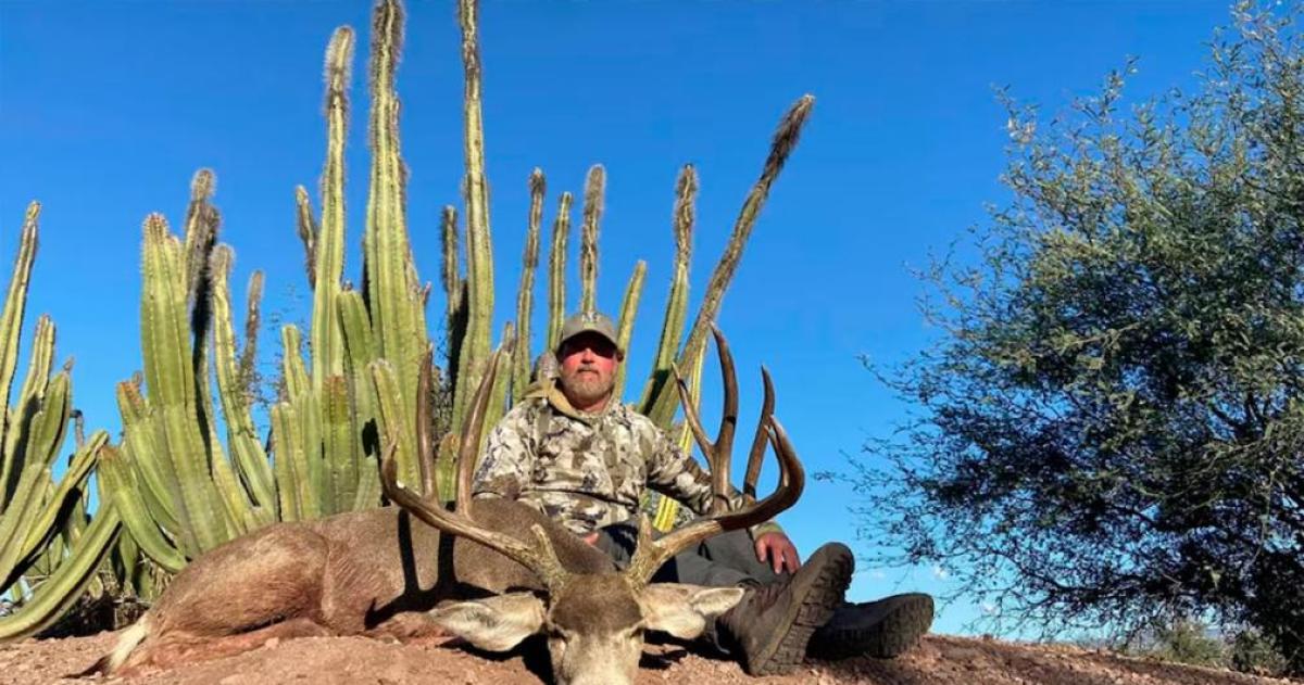 Lo cazaron antes de que dispare- un buacutefalo de 13 toneladas matoacute a un millonario de Texas en plena expedicioacuten en Sudaacutefrica