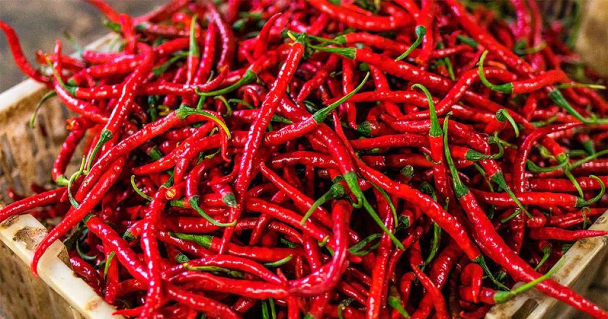 Comer picante podriacutea proteger el corazoacuten y el cerebro seguacuten un estudio chino