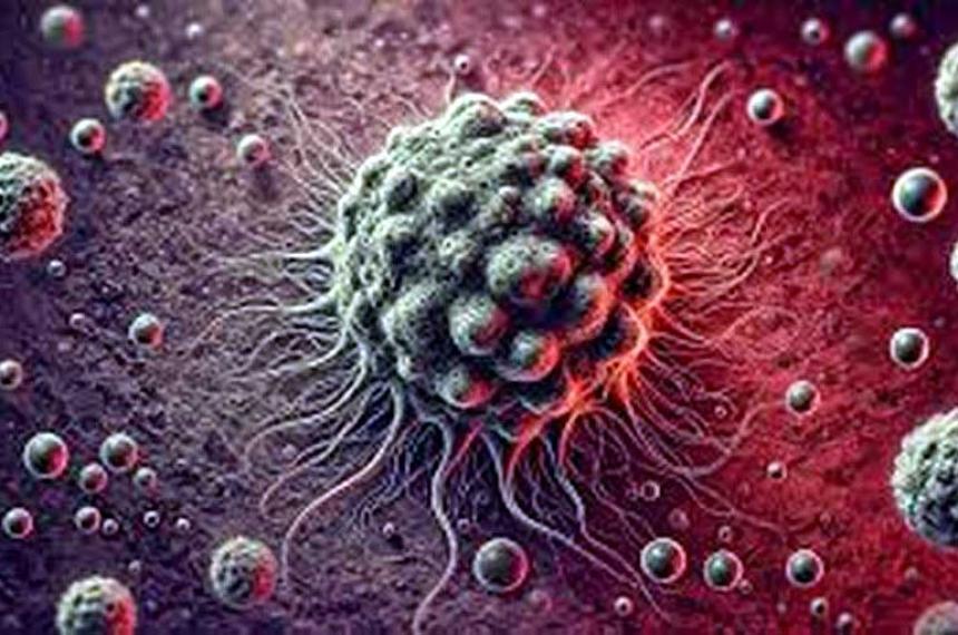 Revolucionaria terapia con bacterias elimina tumores sin activar al sistema inmune