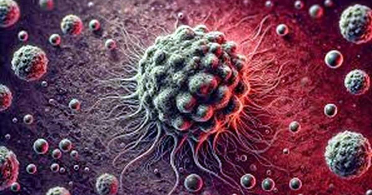 Revolucionaria terapia con bacterias elimina tumores sin activar al sistema inmune