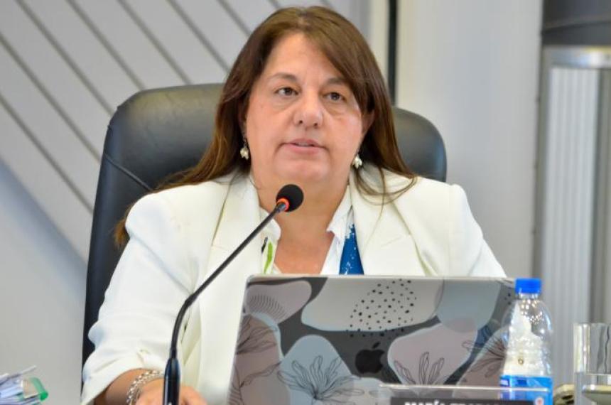 El PRO dice que no se desdibuja- Ocupamos el segundo lugar y podemos obtener una banca