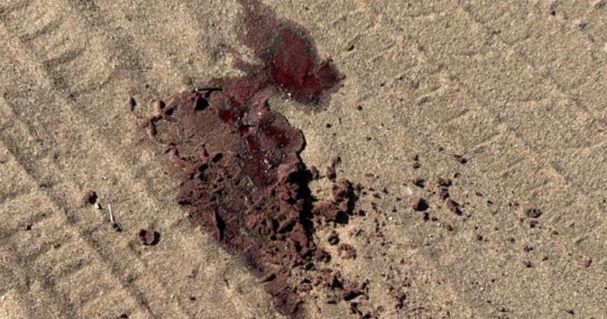 Repudian a un conductor que atropelloacute un perro y huyoacute- la mascota murioacute