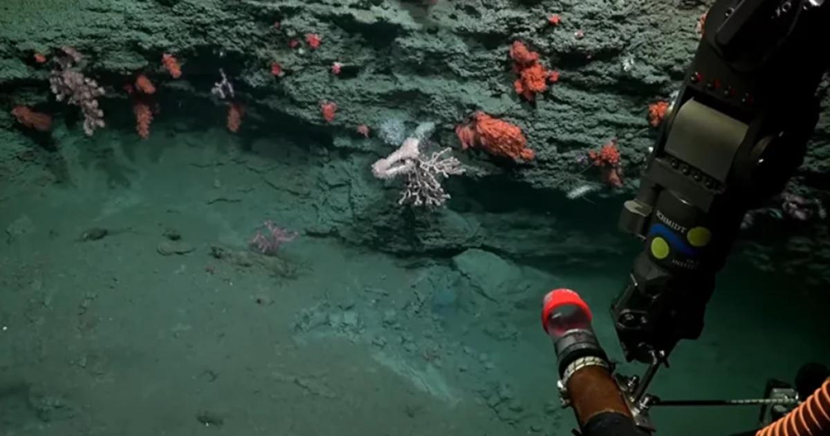 Terminoacute la expedicioacuten del Conicet en Mar del Plata