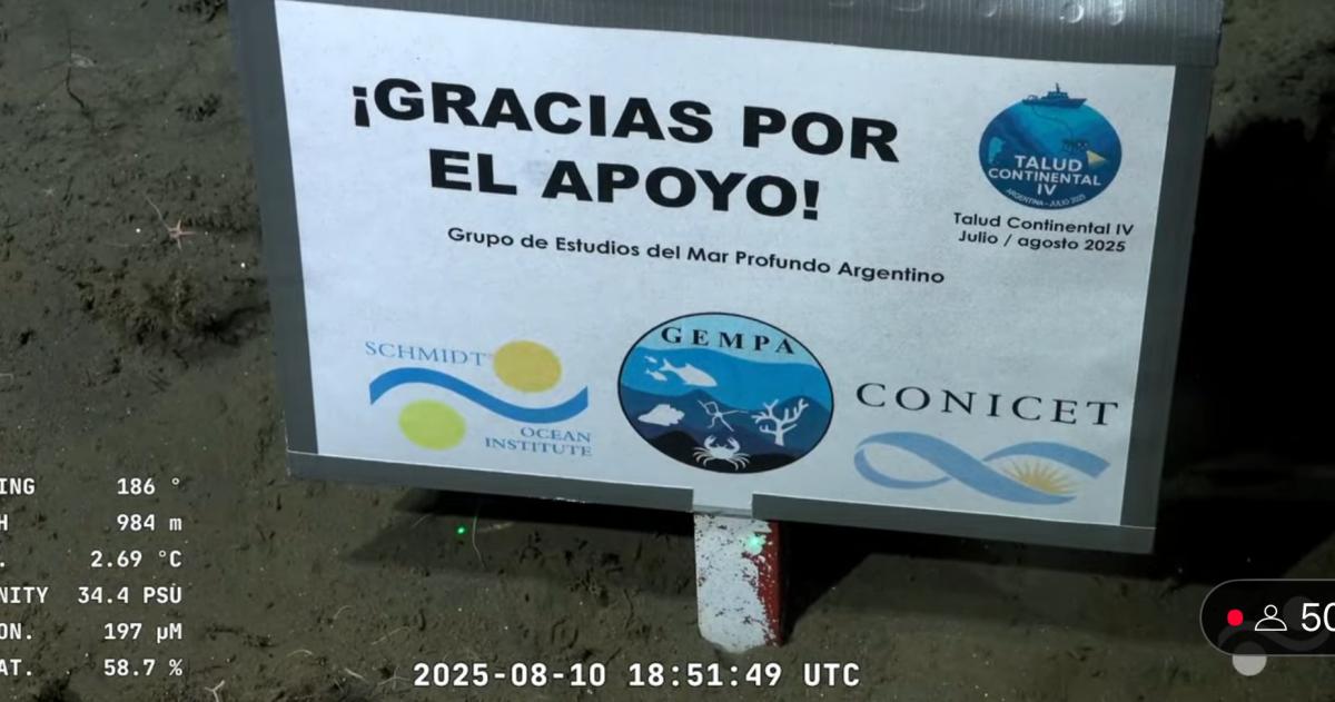 Ziliotto elogioacute al Conicet- Un eacutexito que refleja la fuerza de la ciencia y la tecnologiacutea argentinas