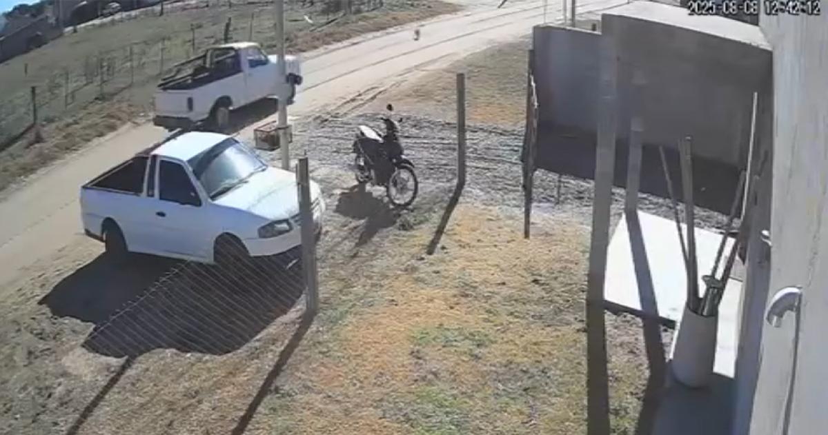Repudian a un conductor que atropelloacute un perro y huyoacute- la mascota murioacute