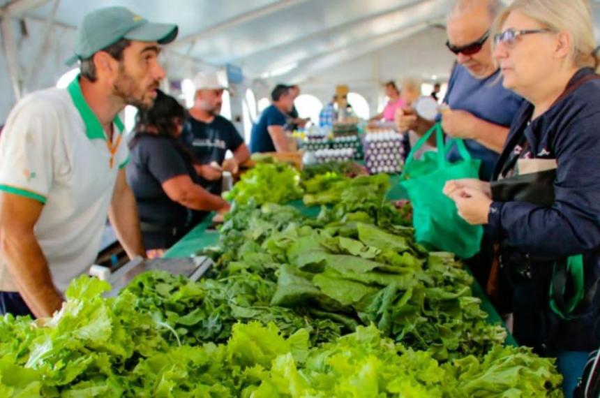 Este martes abre el moacutedulo despensa del Mercado Municipal