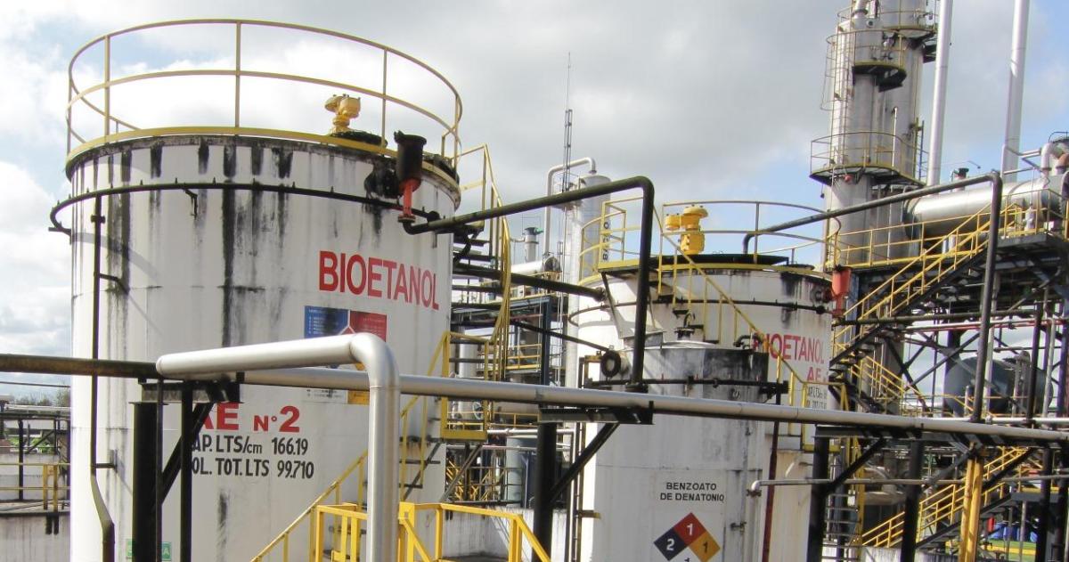 El Gobierno fijoacute nuevos precios miacutenimos para biocombustibles