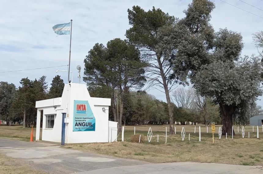 El Gobierno eliminoacute la Direccioacuten Nacional del INTA
