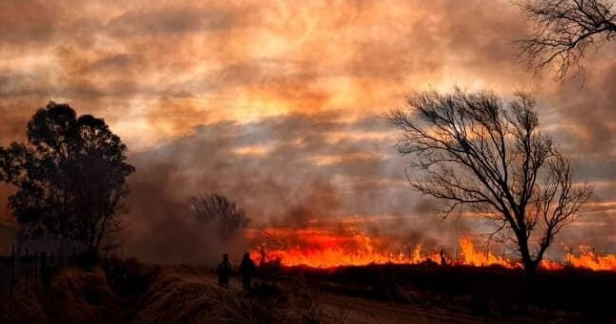 Intenso incendio de pastizales amenazoacute con llegar a Speluzzi