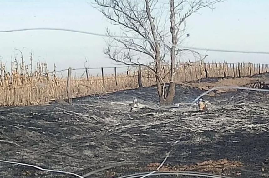 Productores realizaron una denuncia por la quema de pastizales en la zona rural de Parera