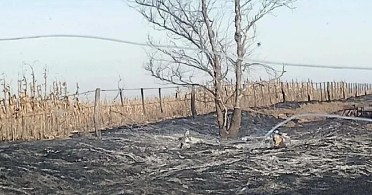 Productores realizaron una denuncia por la quema de pastizales en la zona rural de Parera