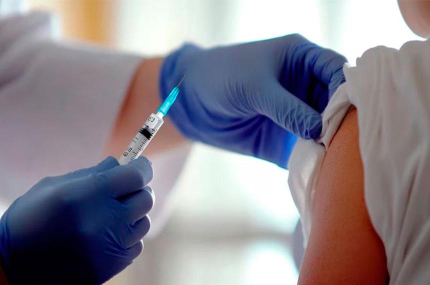 Fiebre amarilla- Argentina aplicaraacute la vacuna gratis solo en zonas endeacutemicas