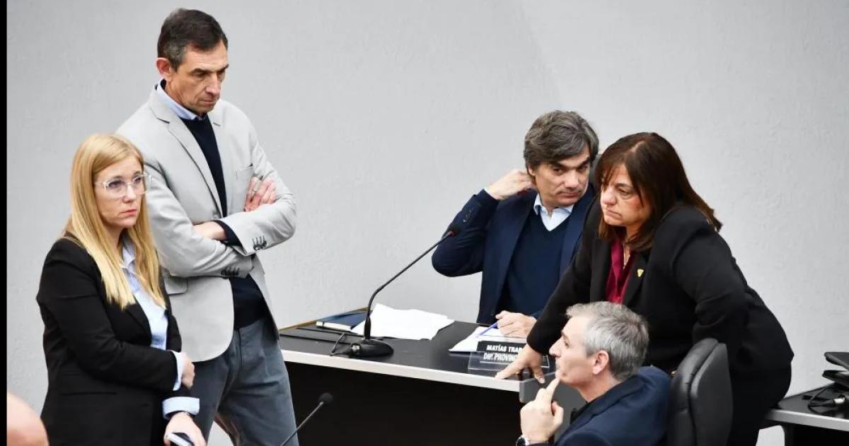 La contrapropuesta por Medanito de las diputadas rebeldes del PRO por Medanito