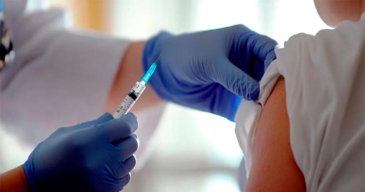 iquestQueacute es la fiebre amarilla- Argentina aplicaraacute la vacuna solo en zonas endeacutemicas