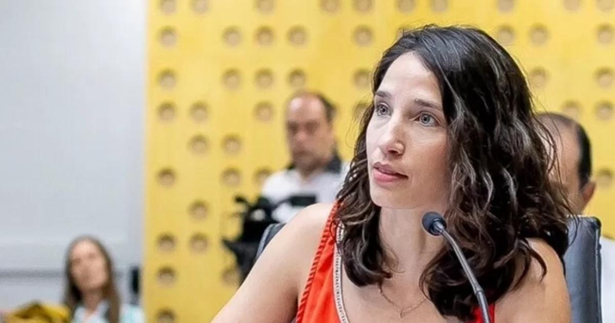 Para Forte el radicalismo tiene candidatos joacutevenes con una mirada muy social